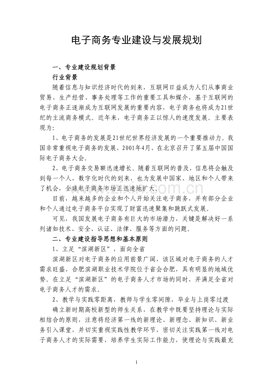 电子商务专业建设与发展规划.doc_第1页