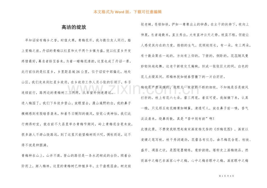 高洁的绽放.docx_第1页