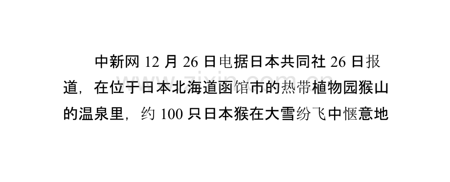 上百日本猴雪中泡温泉御寒打哈欠梳理毛发.pptx_第2页