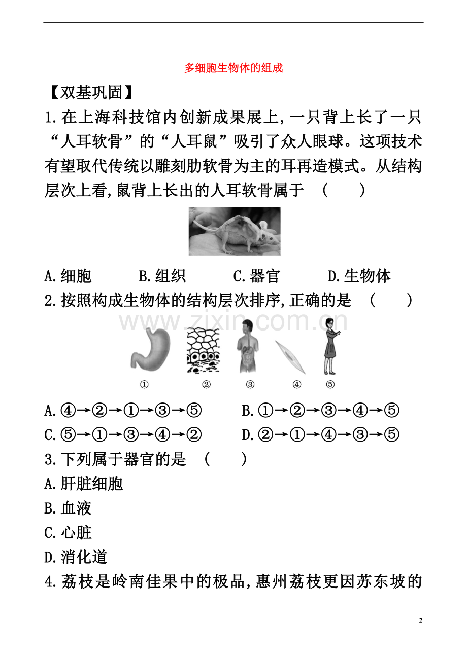 七年级生物上册2.4.2多细胞生物体的组成同步课时达标练习苏教版教案.doc_第2页