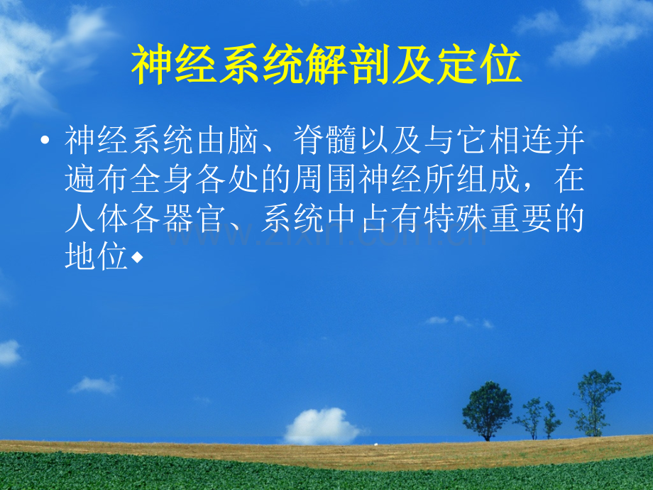护理课程解剖及定位诊断.ppt_第1页