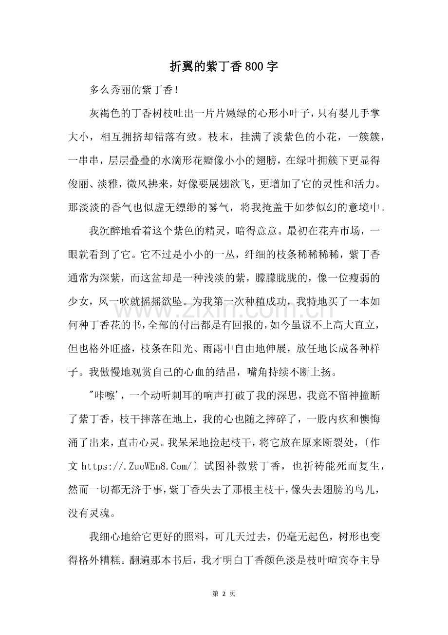折翼的紫丁香800字.docx_第1页