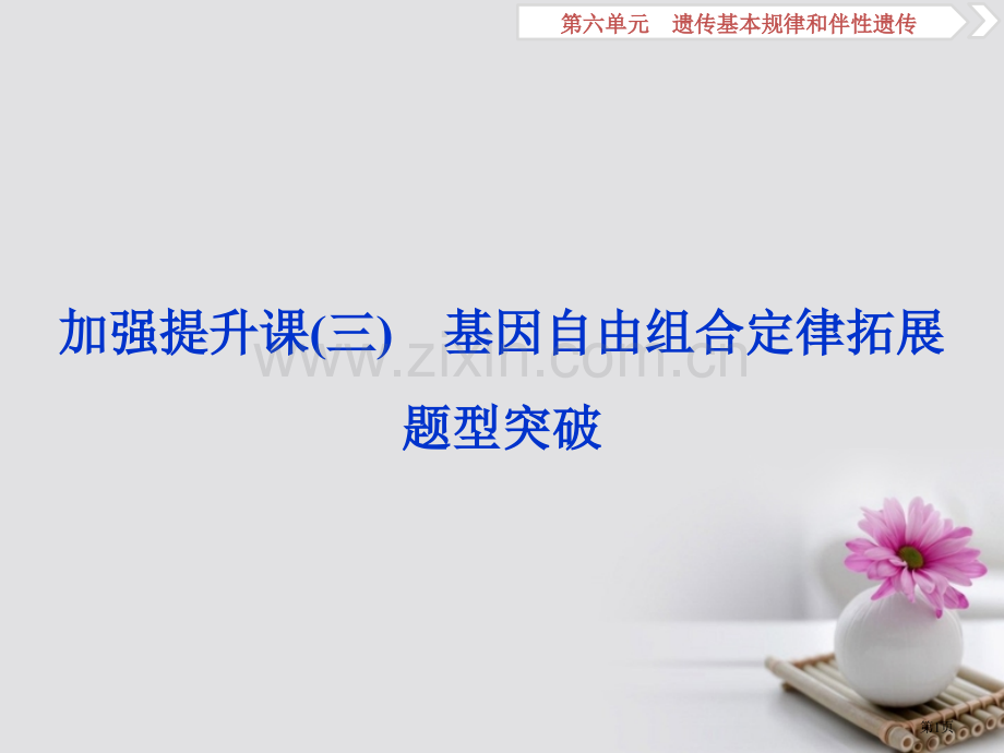 高考生物总复习第六单元遗传的基本规律和伴性遗传加强提升课三基因自由组合定律的拓展题型突破全国公开课一.pptx_第1页