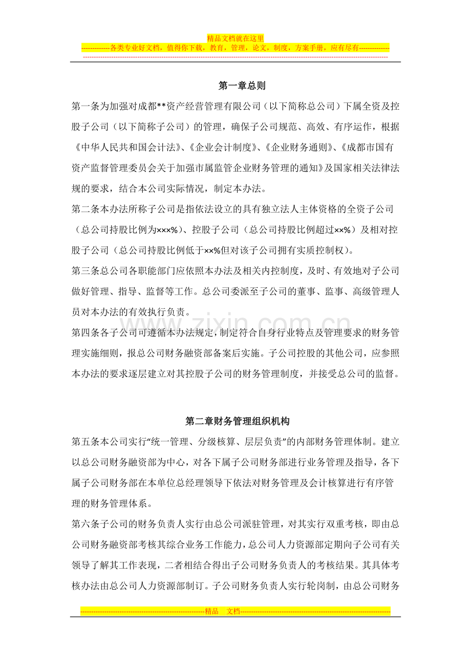 子公司财务管理办法.docx_第1页