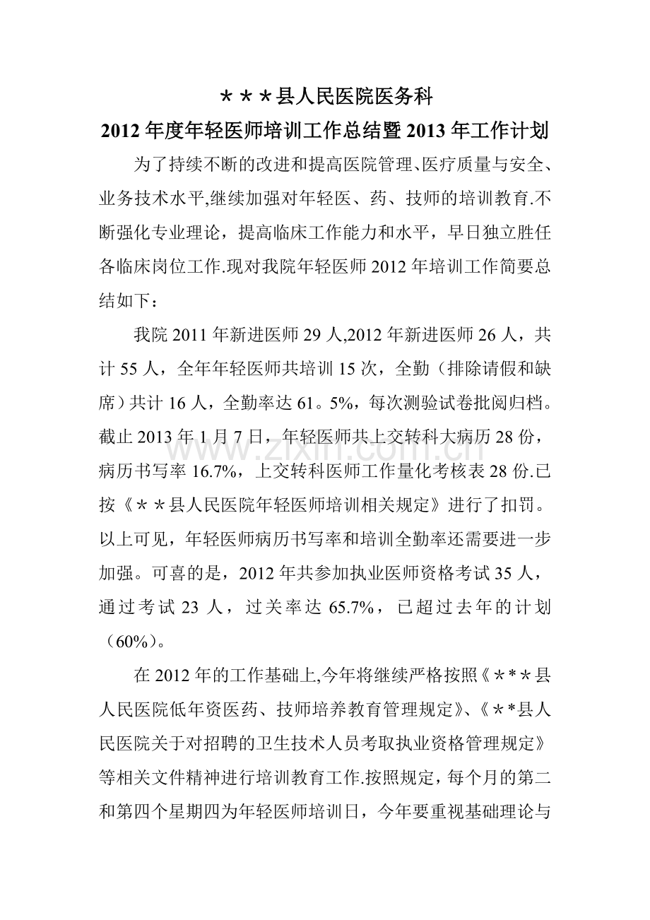 年轻医师年度工作计划总结.doc_第1页