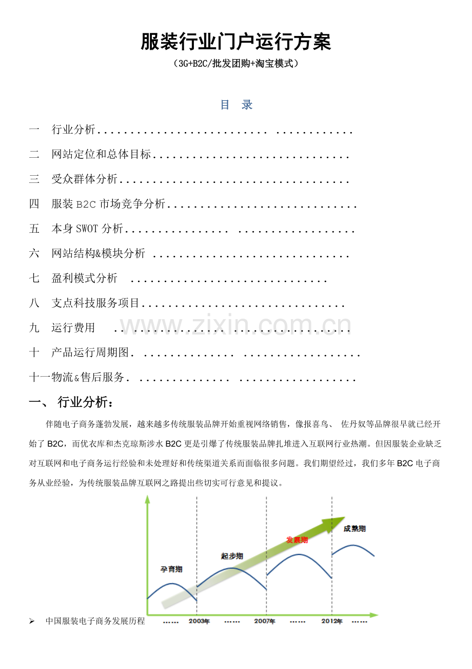 服装电子商务网站运营专项方案介绍.doc_第1页