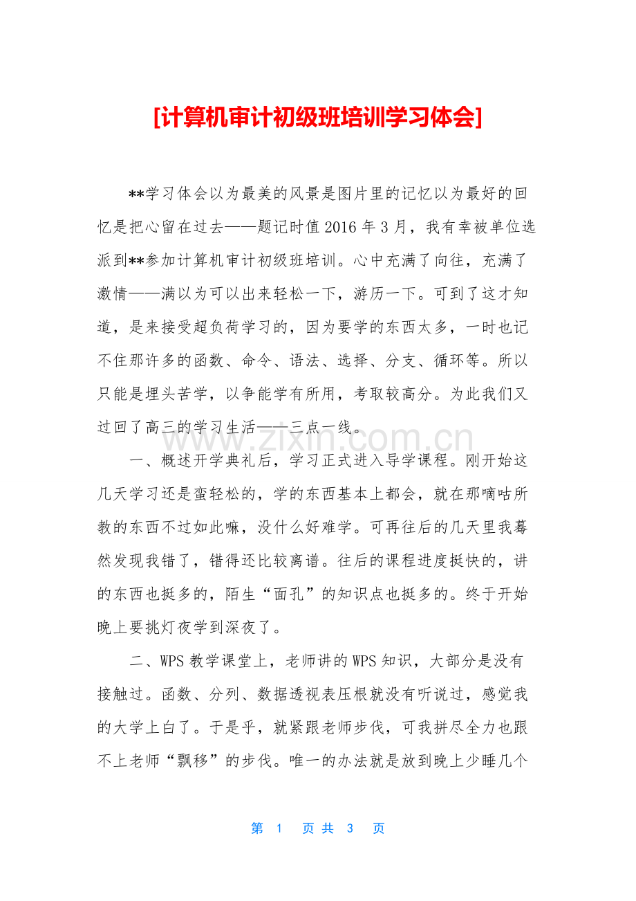 [计算机审计初级班培训学习体会].docx_第1页