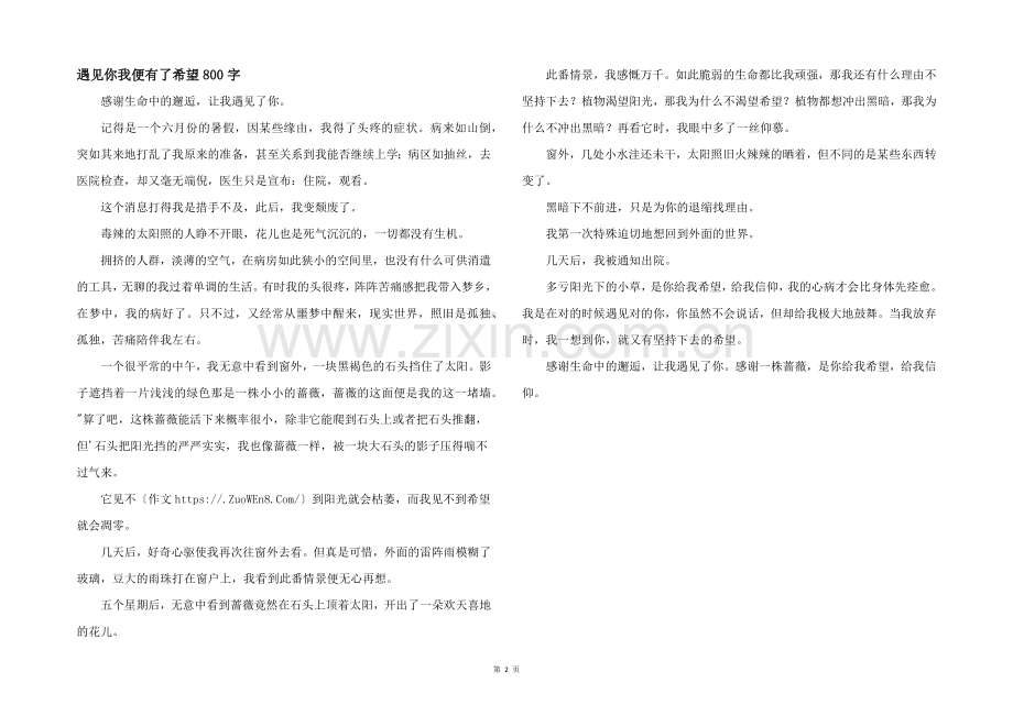 遇见你我便有了希望800字.docx_第1页