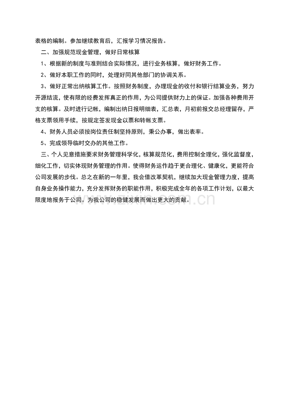 财务出纳年度工作思路.docx_第2页