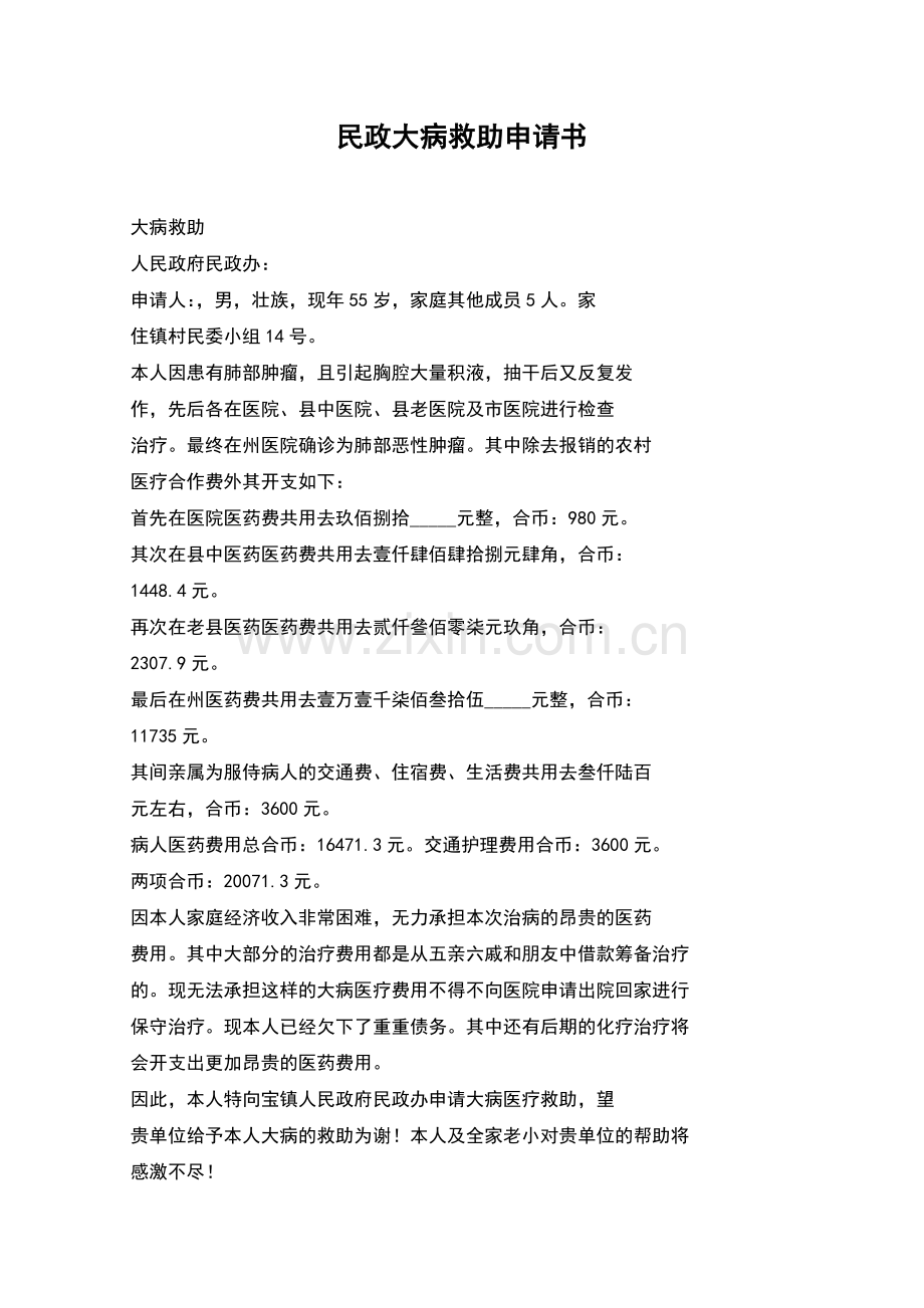 民政大病救助申请书.docx_第1页