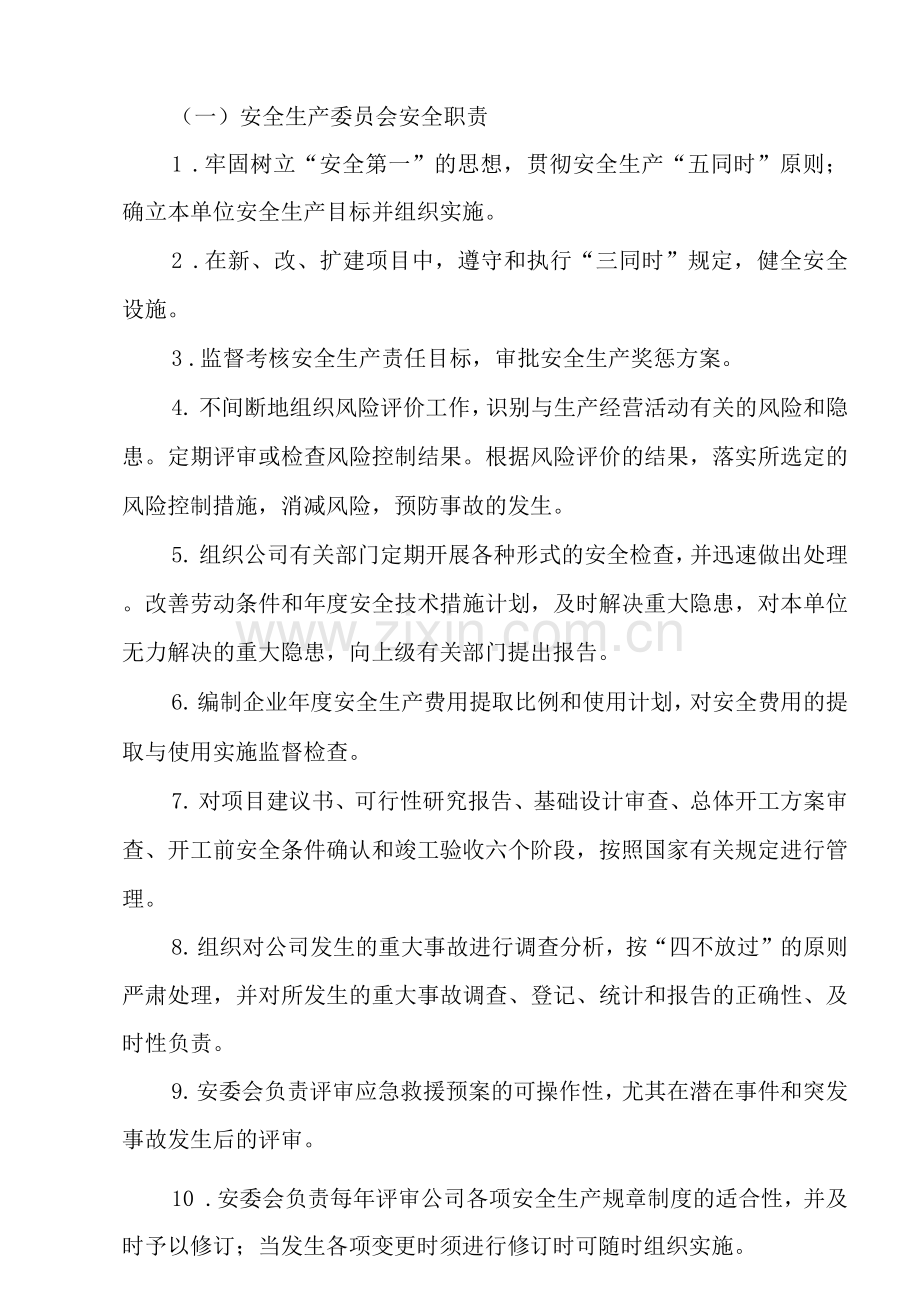 公司安全生产负责人与职责.docx_第2页