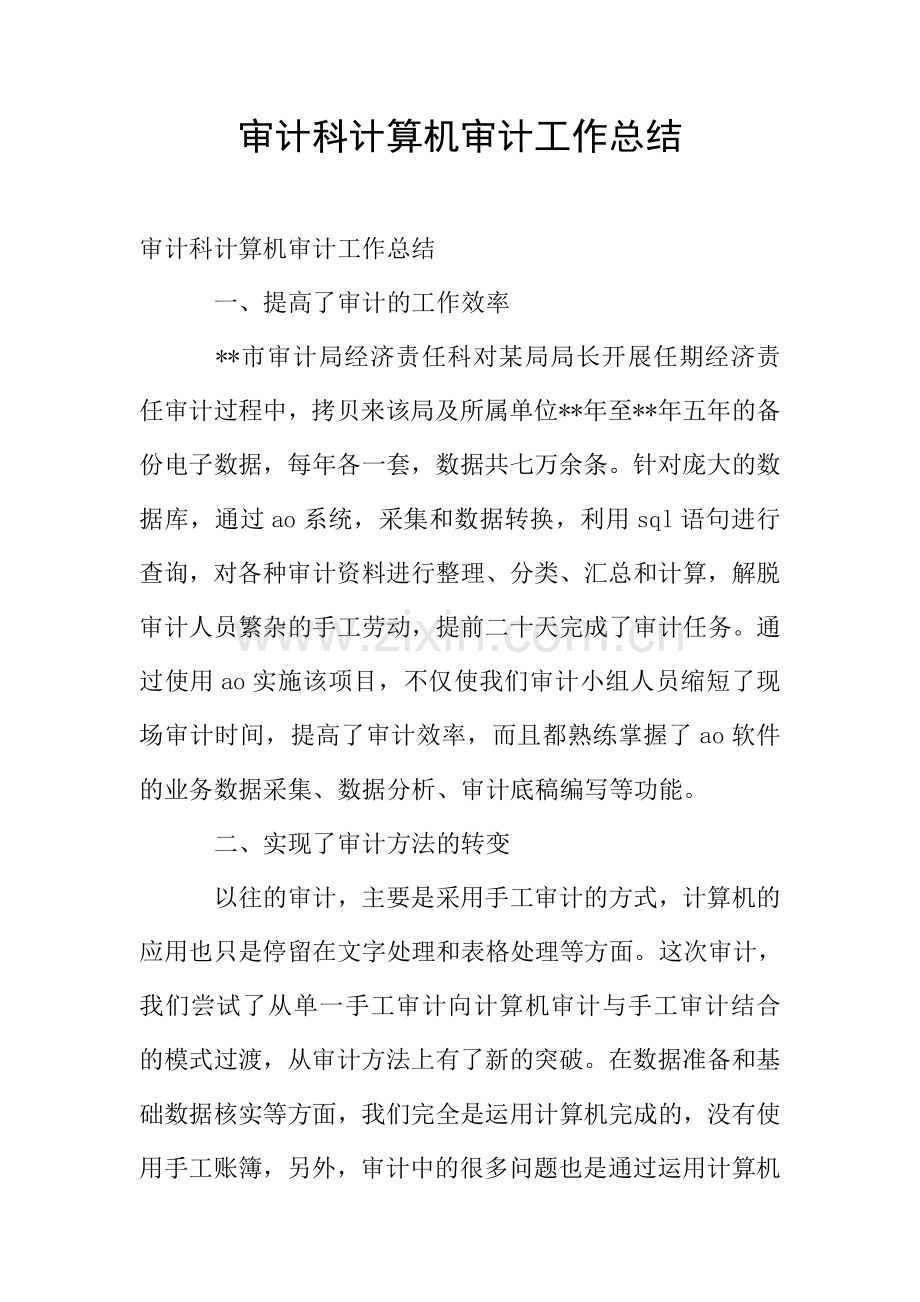 审计科计算机审计工作总结.doc_第1页