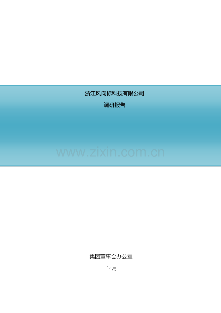 浙江风向标公司调研报告样本.docx_第2页