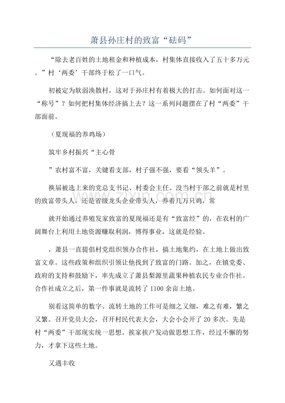 萧县孙庄村的致富“砝码”.docx_第1页