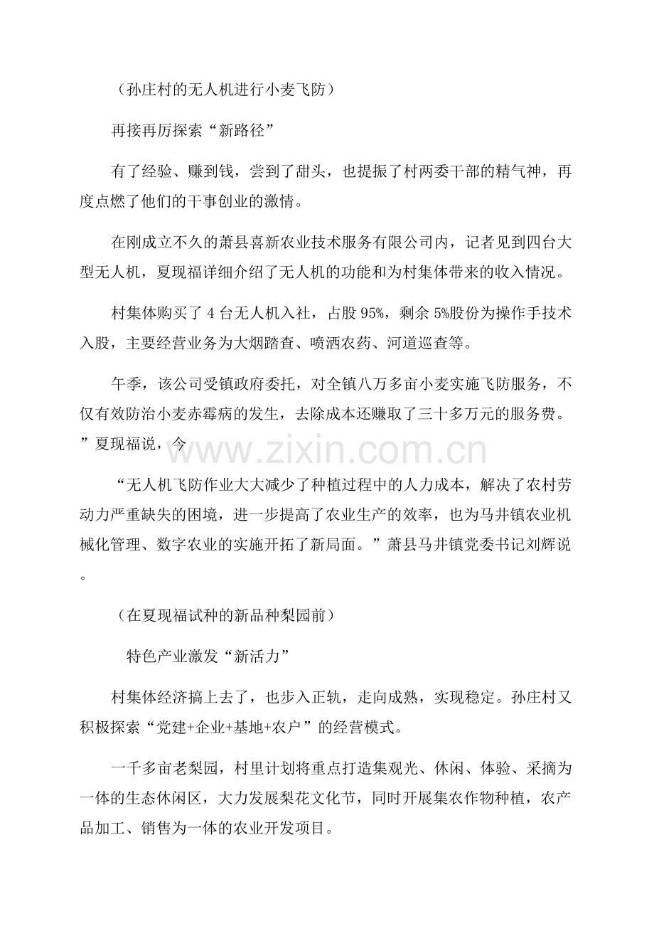 萧县孙庄村的致富“砝码”.docx_第2页