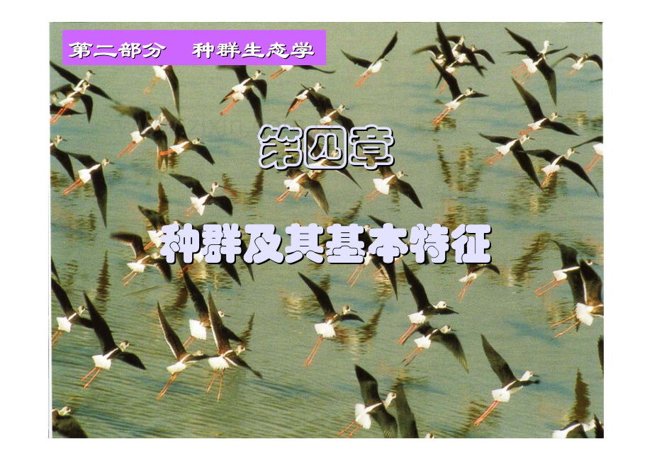 第四章-种群及其基本特征.pdf_第1页