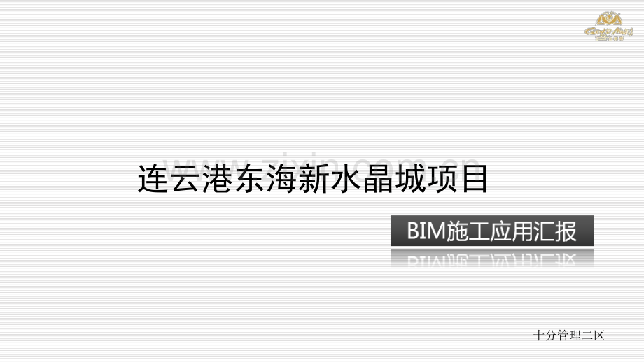 东海新水晶城BIM施工运用汇报.pdf_第1页