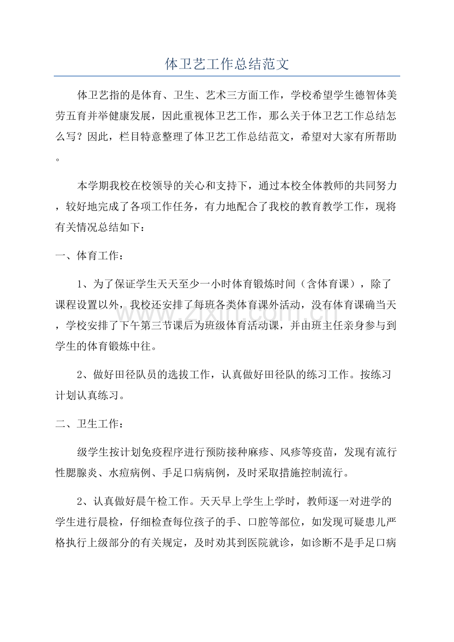 体卫艺工作总结范文.docx_第1页