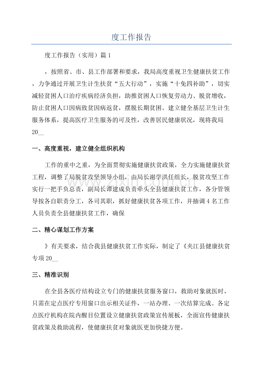 扶贫年度工作报告.docx_第1页