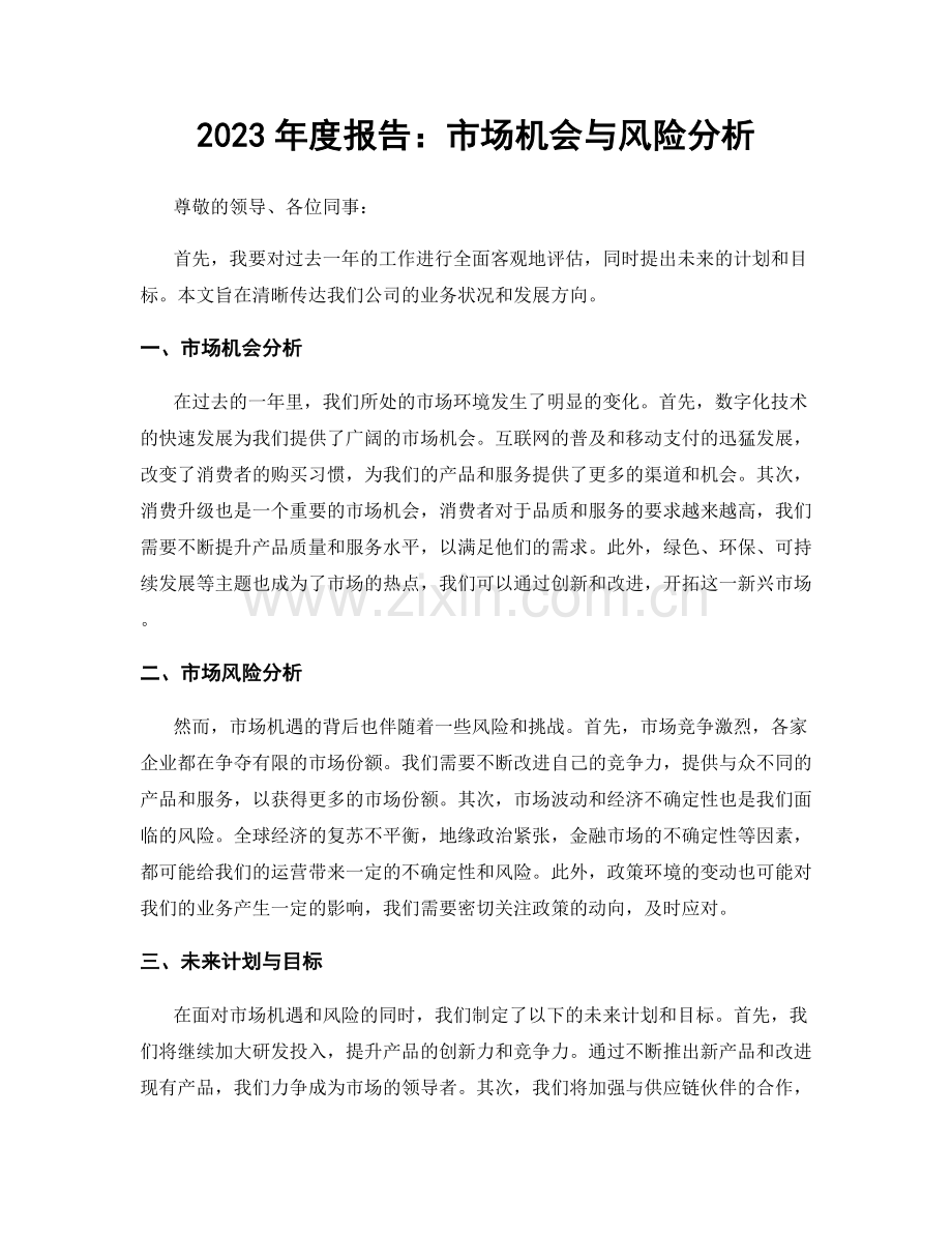 2023年度报告：市场机会与风险分析.docx_第1页