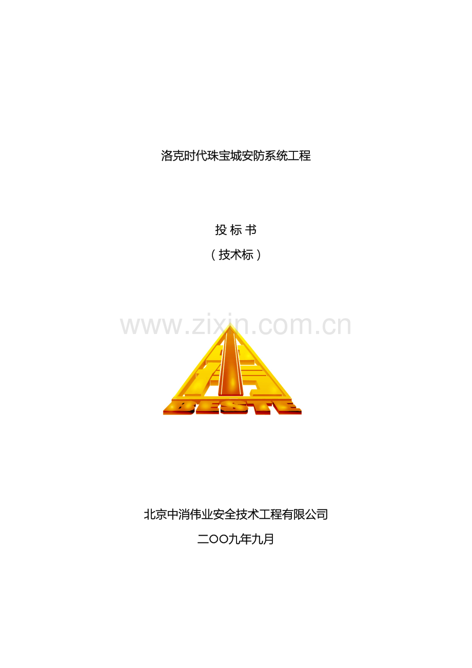 安防投标书技术标.doc_第2页
