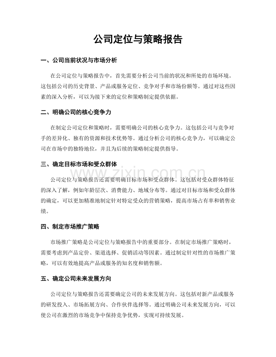 公司定位与策略报告.docx_第1页