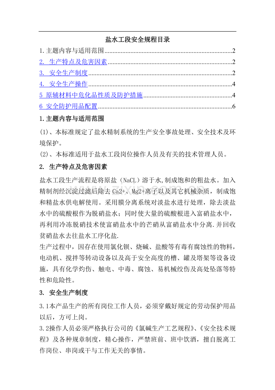 盐水安全规程.doc_第1页