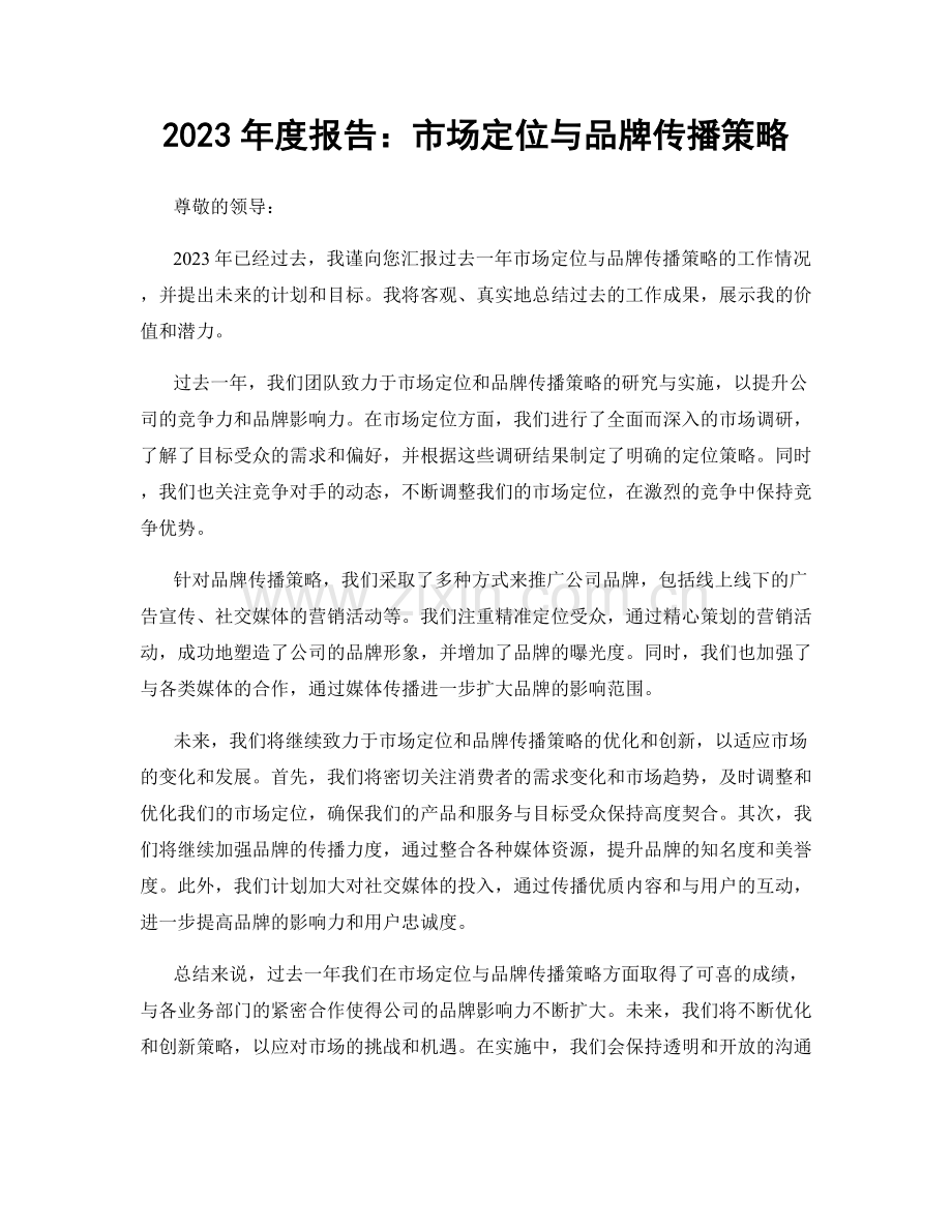 2023年度报告：市场定位与品牌传播策略.docx_第1页