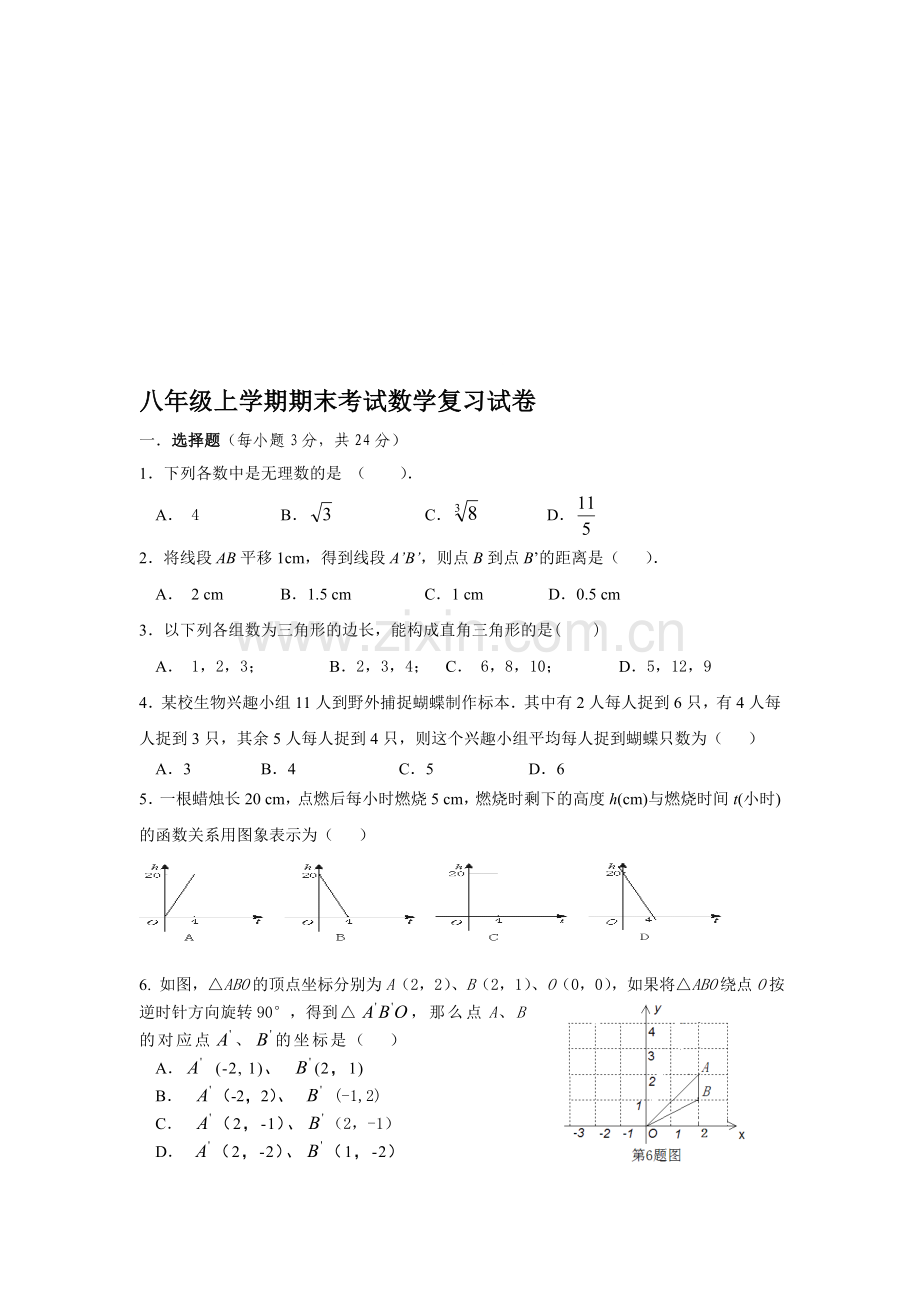 北师大版八年级上册数学期末考试复习试卷.doc_第1页