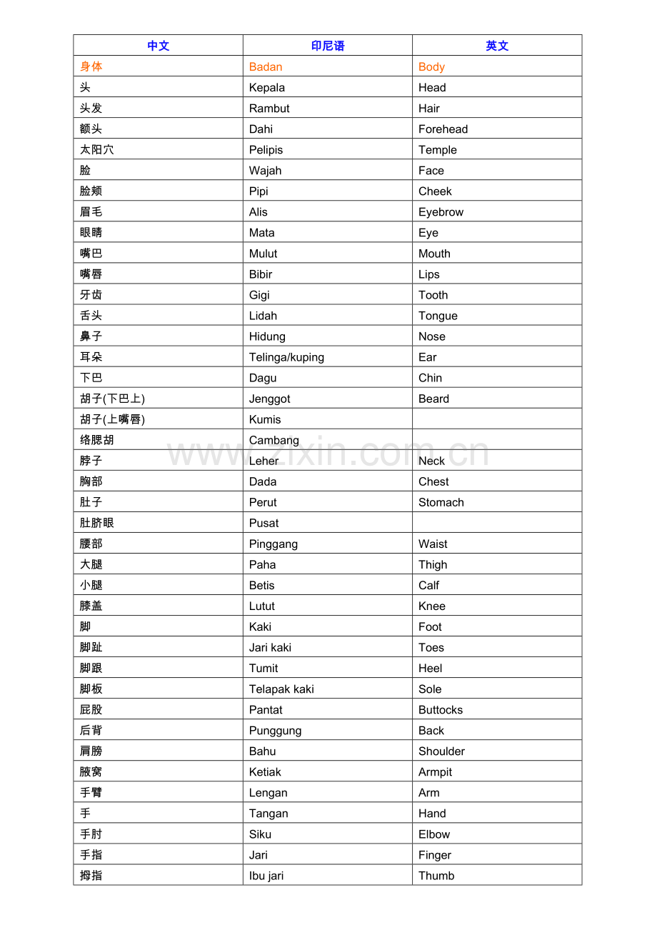 印尼语词汇总结(中文-英语-印尼文).doc_第1页