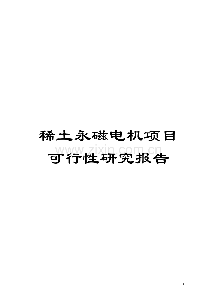 稀土永磁电机项目可行性研究报告模板.doc_第1页
