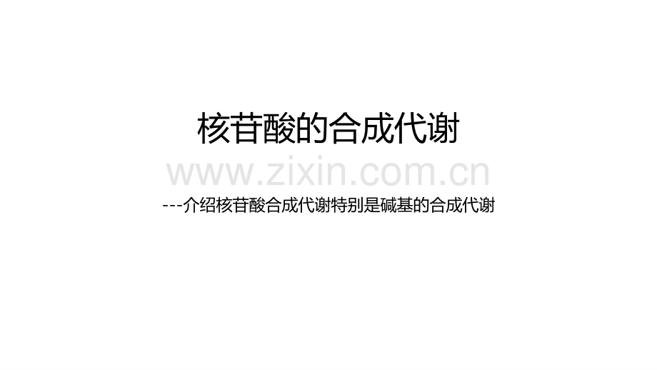 2-核苷酸合成代谢.pdf_第1页