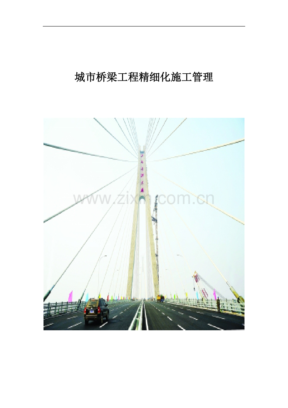 城市桥梁工程精细化施工管理(图文).doc_第1页