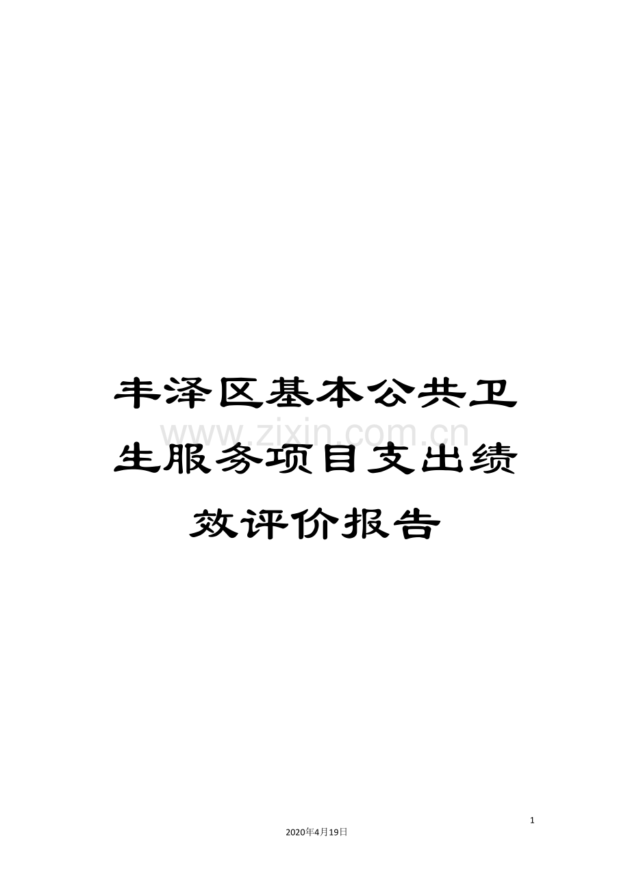 丰泽区基本公共卫生服务项目支出绩效评价报告.doc_第1页