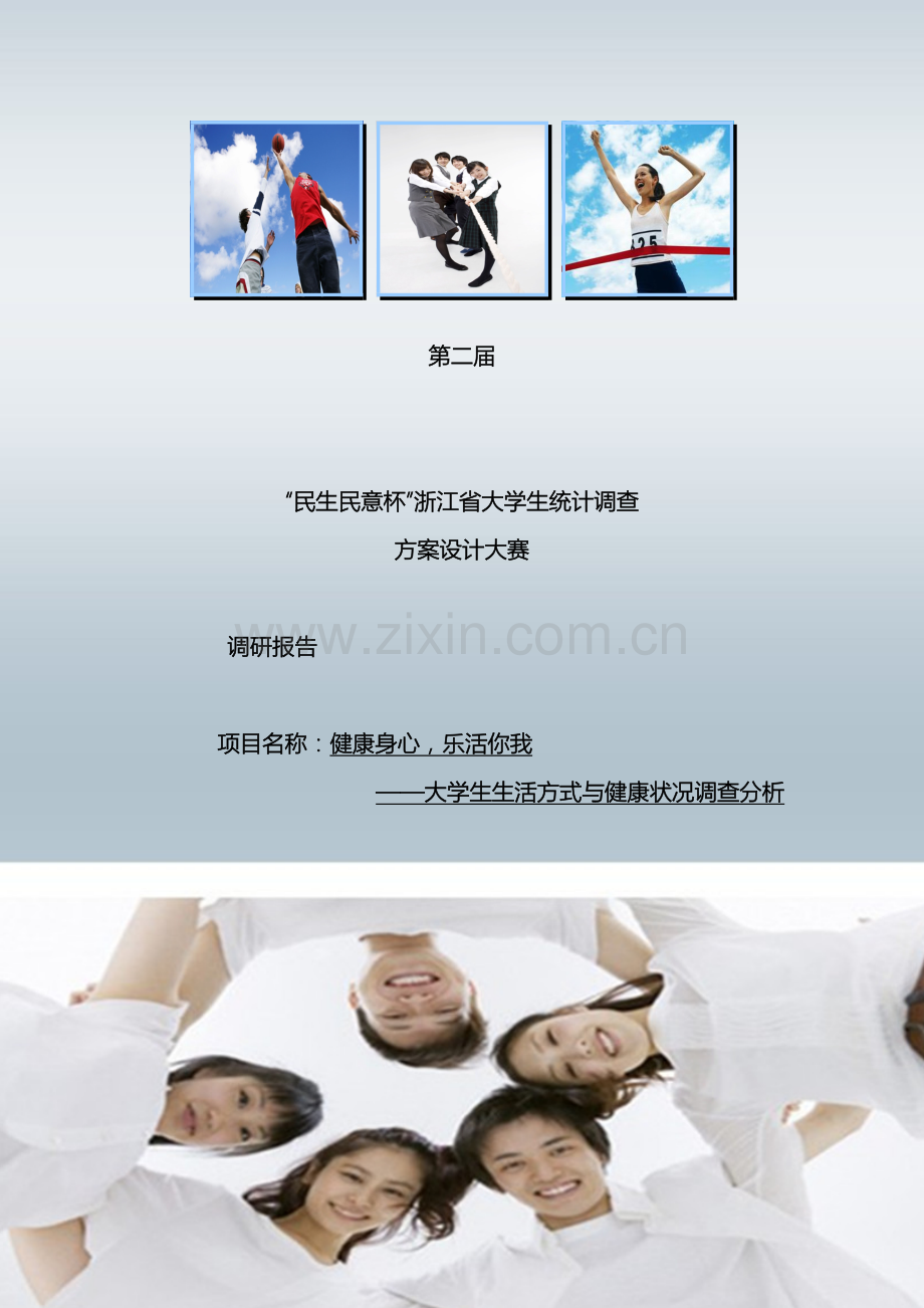 浙江省统计调查大赛调查报告获省二模板.doc_第2页