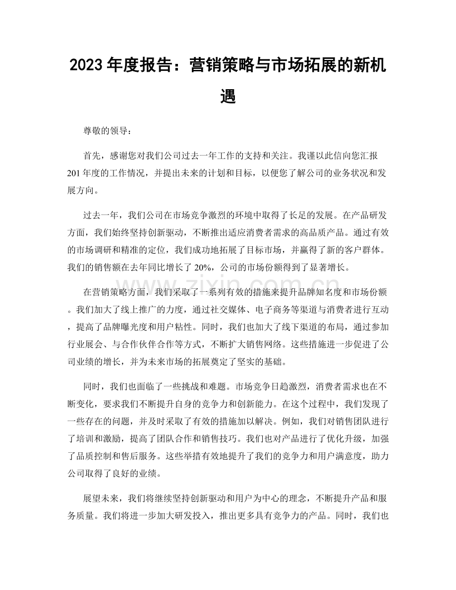 2023年度报告：营销策略与市场拓展的新机遇.docx_第1页