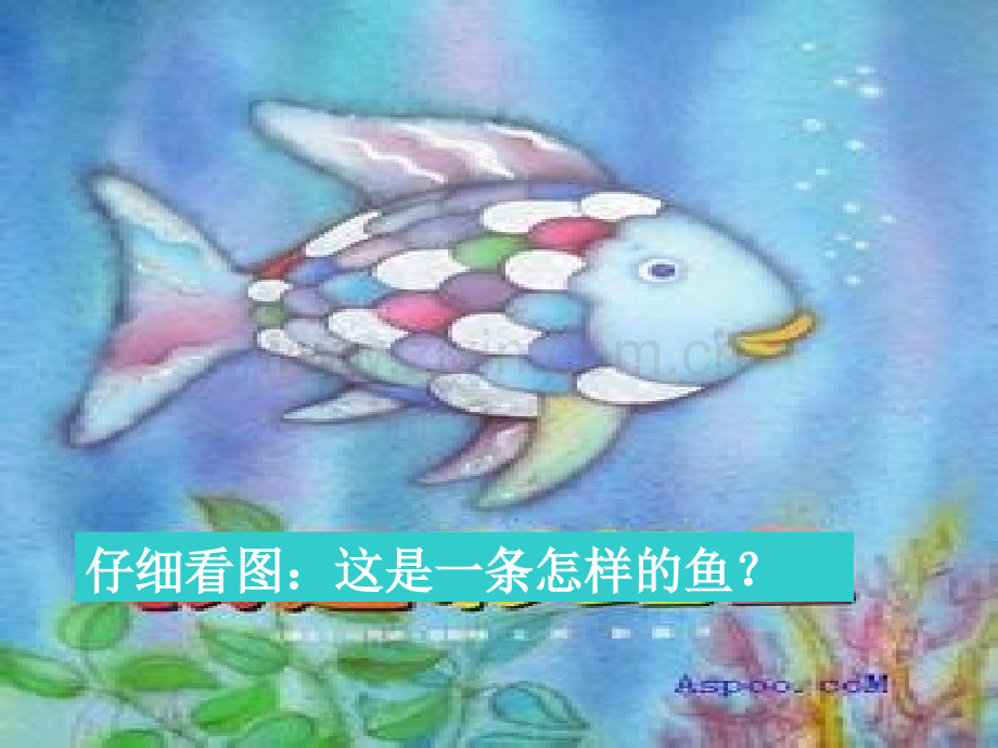 我是彩虹鱼专题知识专业知识讲座.ppt_第1页