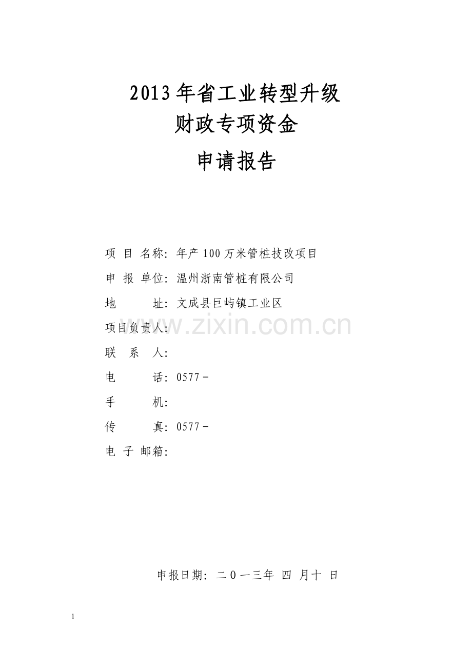 技改项目报告.doc_第1页