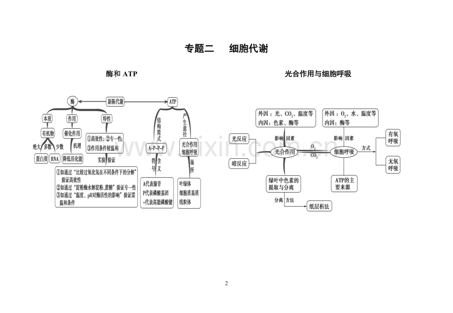 高中生物专题复习知识框架(自己整理上课用).doc_第2页