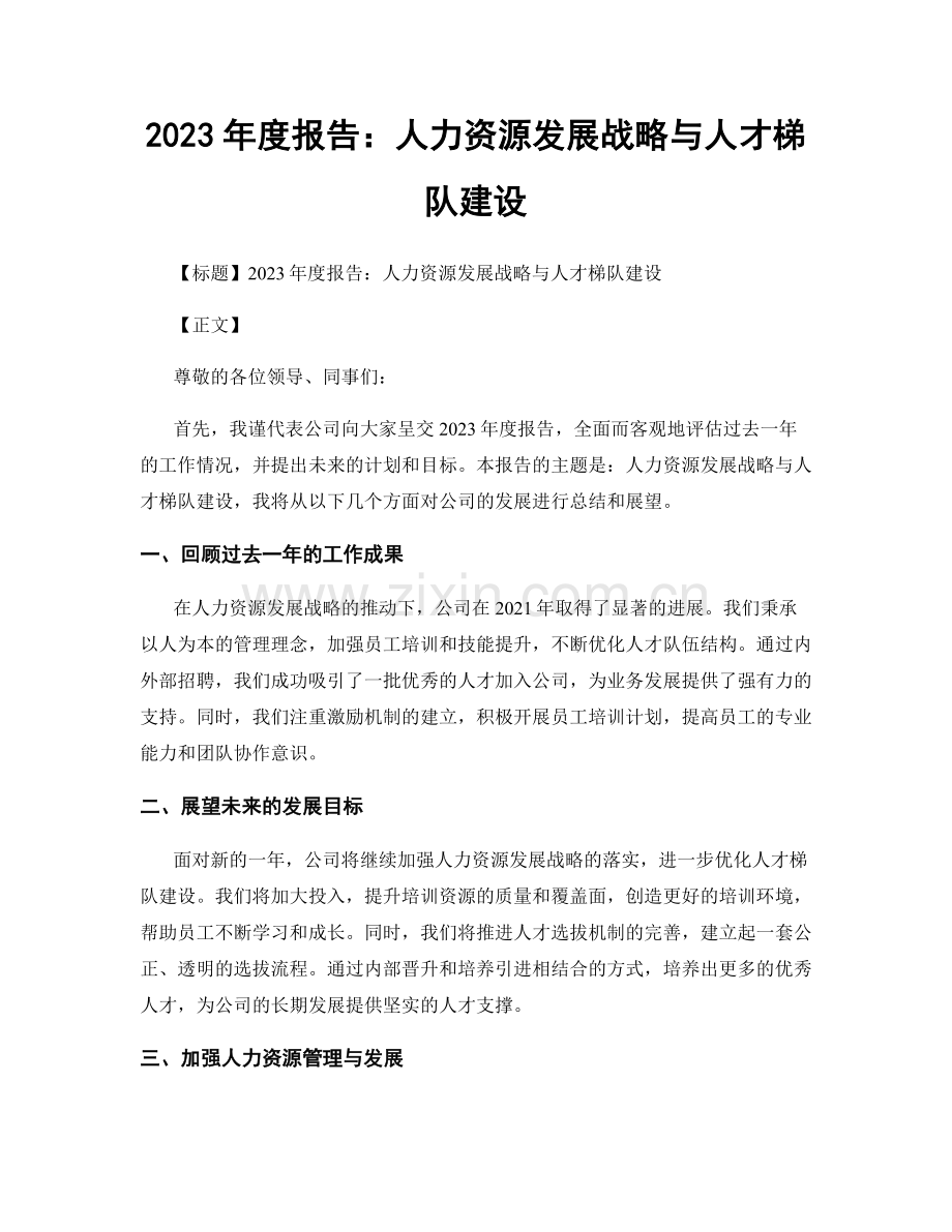 2023年度报告：人力资源发展战略与人才梯队建设.docx_第1页