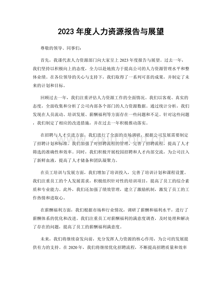 2023年度人力资源报告与展望.docx_第1页