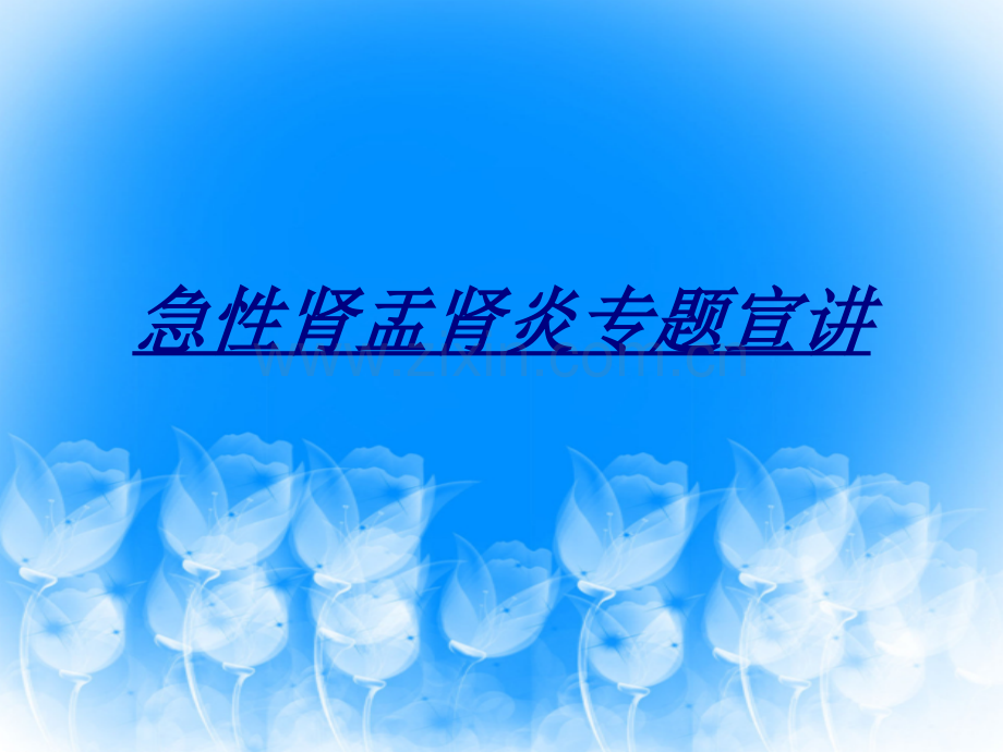 急性肾盂肾炎专题宣讲讲义.ppt_第1页