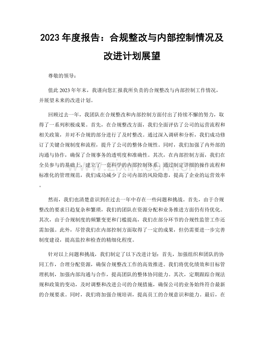 2023年度报告：合规整改与内部控制情况及改进计划展望.docx_第1页