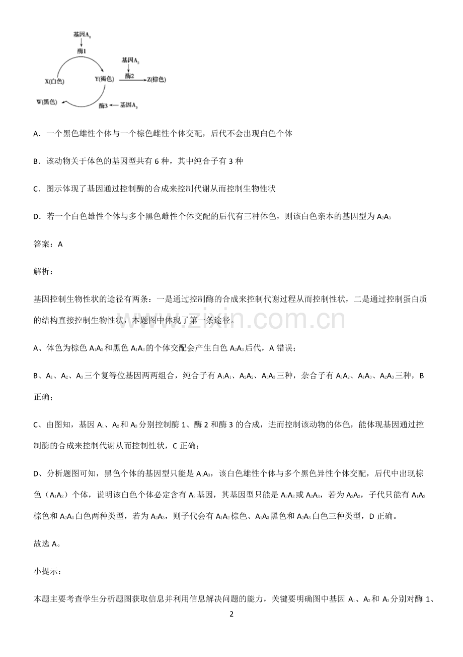 高中生物必修二遗传因子的发现重点知识点大全.pdf_第2页
