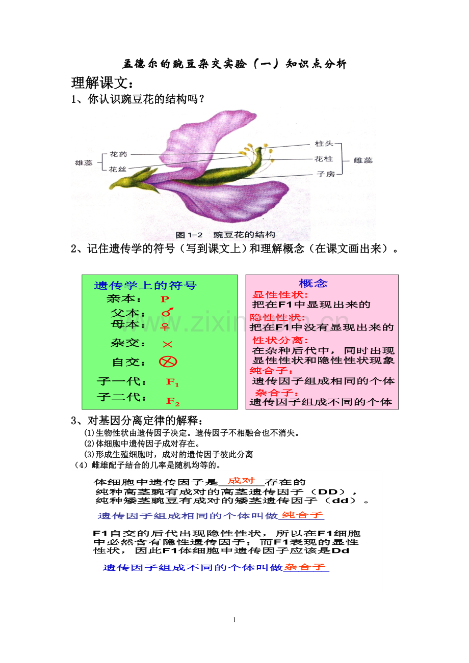 孟德尔的豌豆杂交实验(一)知识点分析.doc_第1页