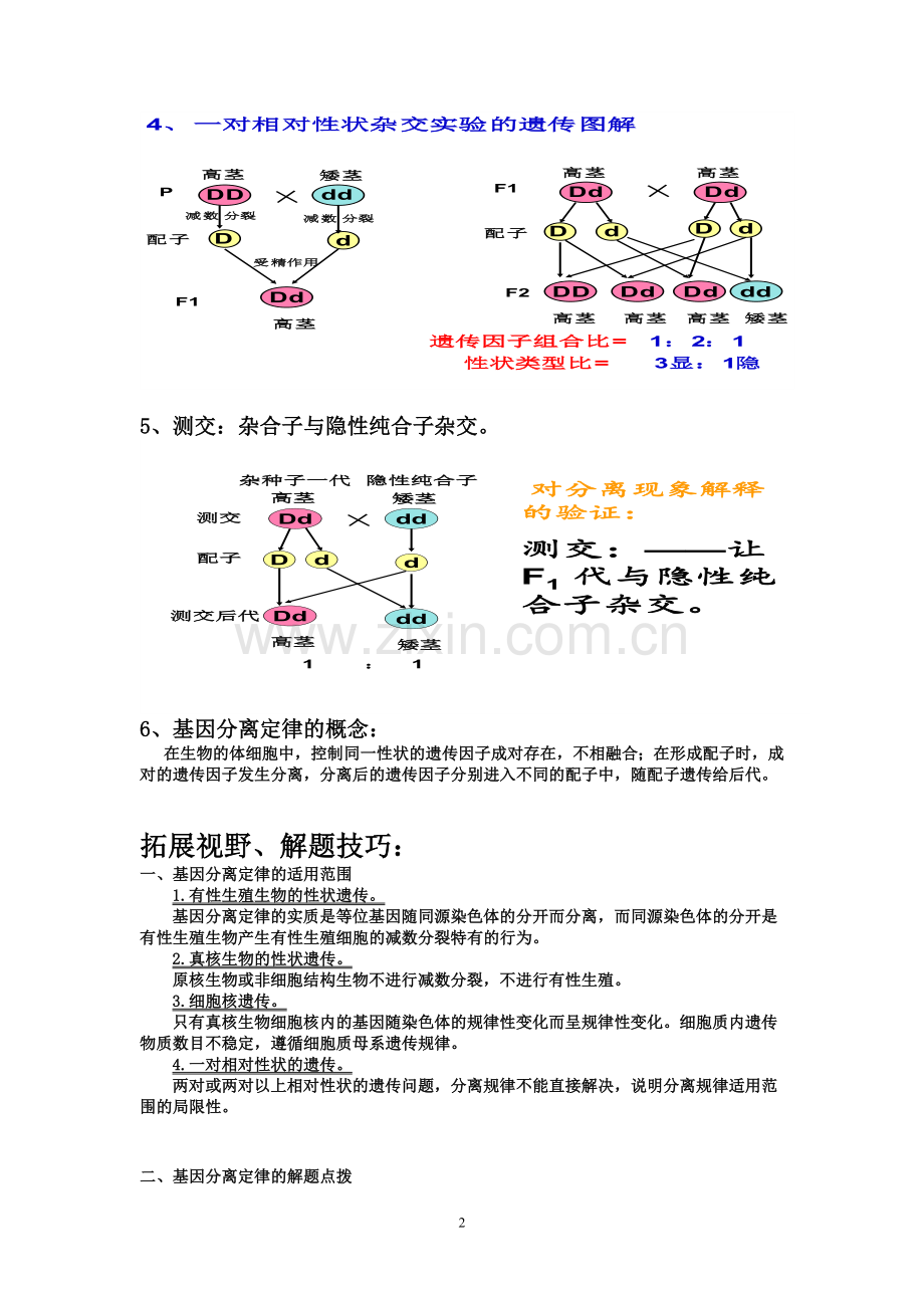 孟德尔的豌豆杂交实验(一)知识点分析.doc_第2页