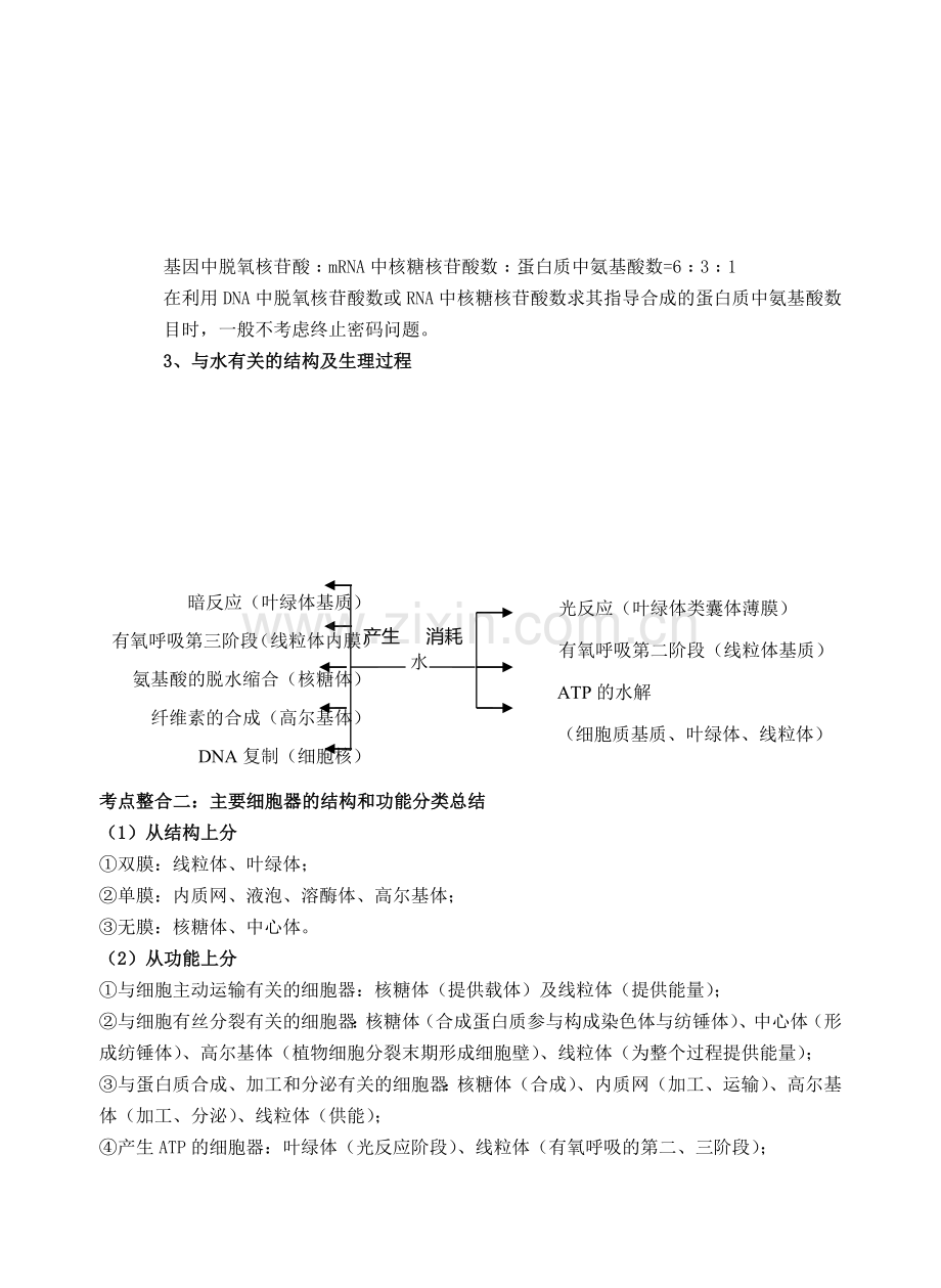 高中生物二轮专题复习知识点整合(3).doc_第2页