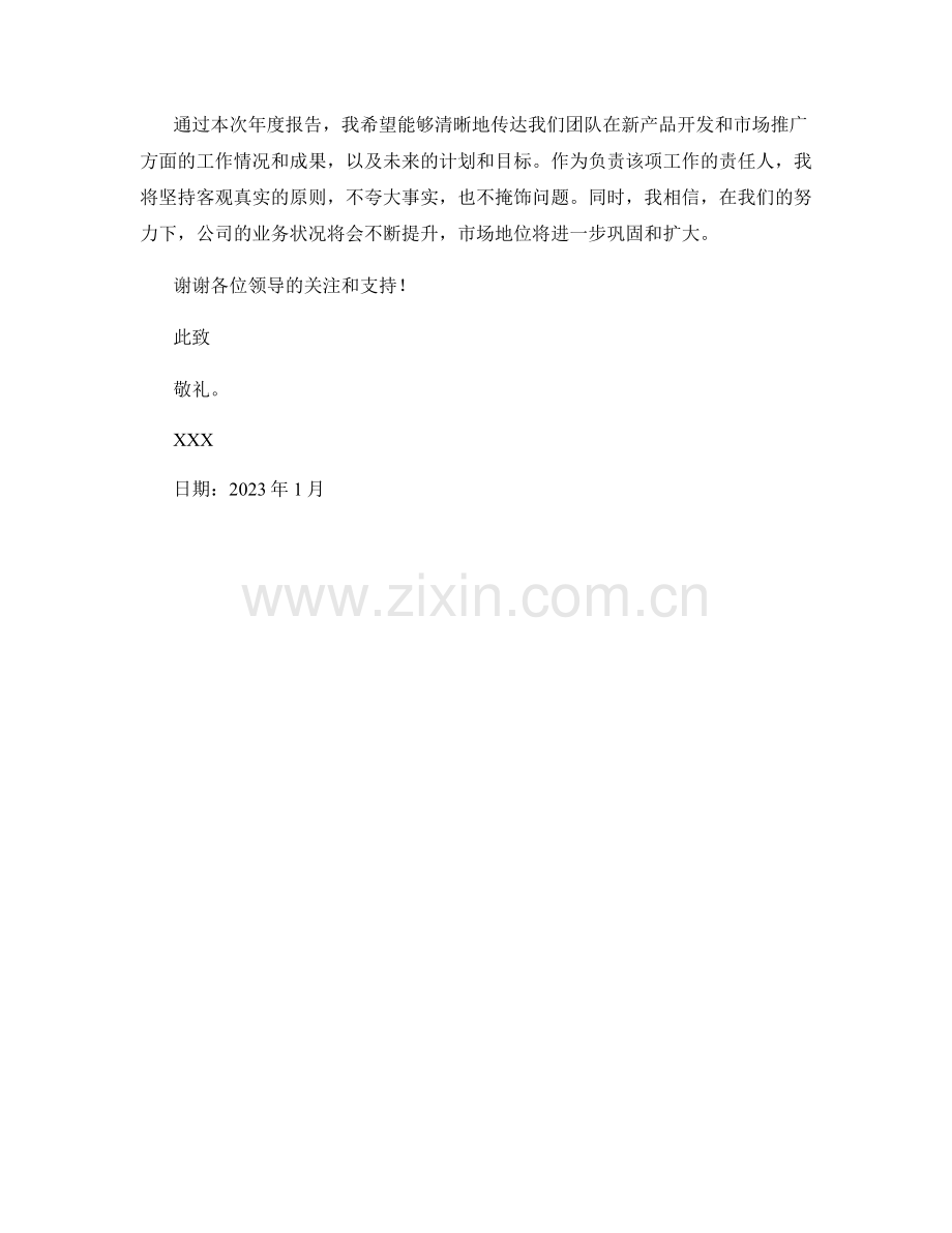 2023年度报告：新产品开发与市场推广策略.docx_第2页