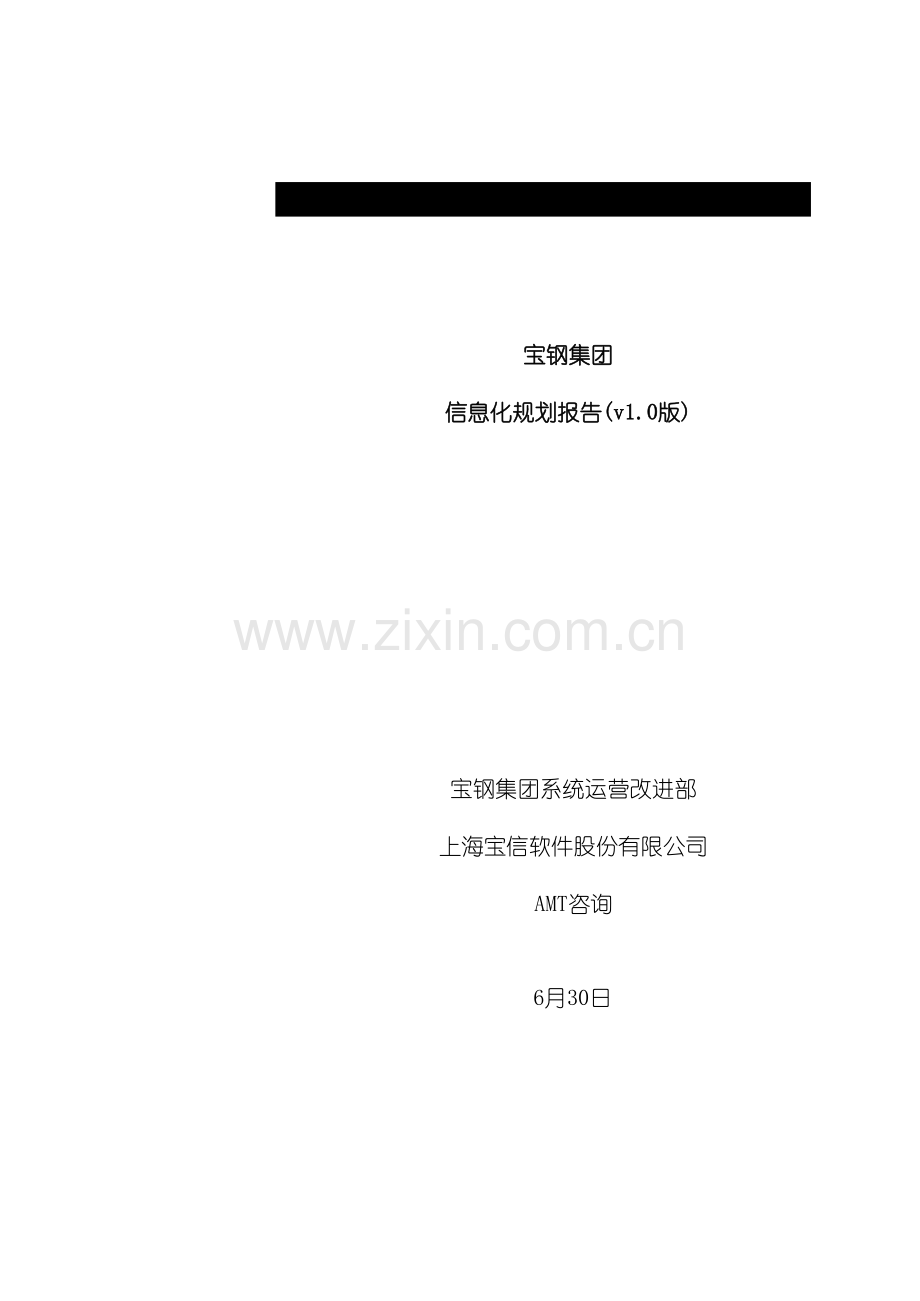 宝钢集团信息化规划项目规划报告.doc_第2页