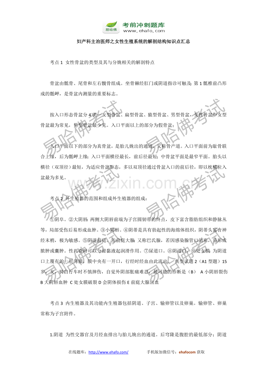 妇产科主治医师考试--女性生殖系统的解剖结构知识点汇总.doc_第1页